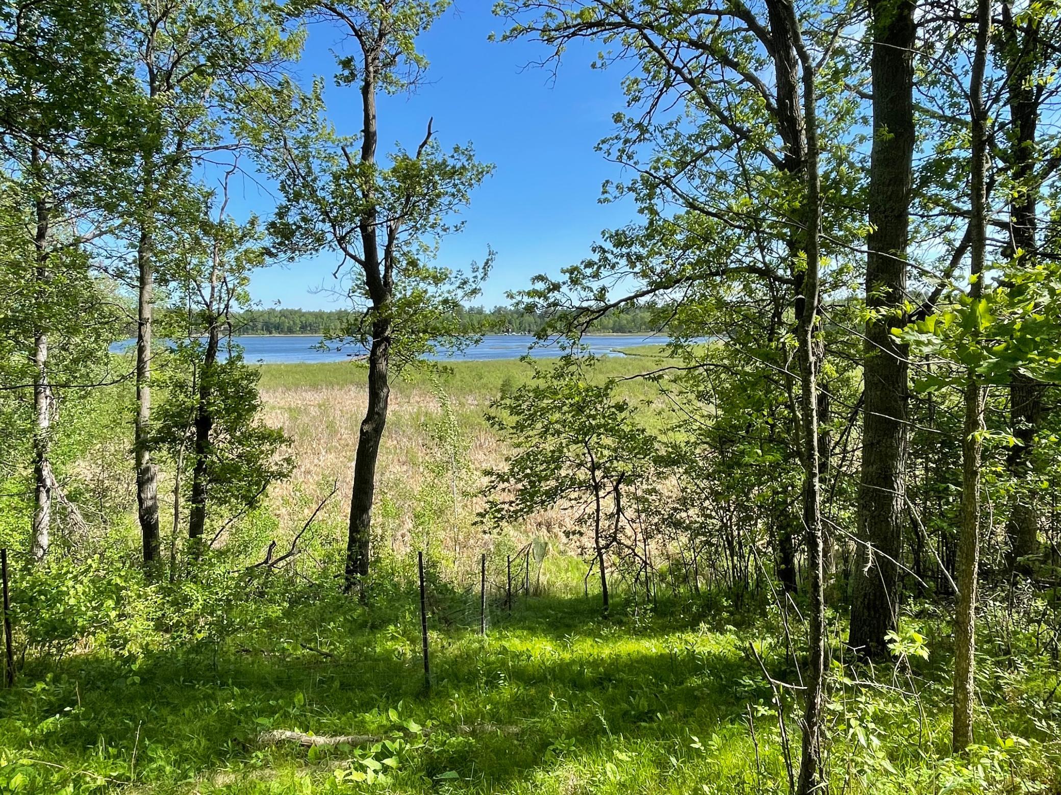 TBD Wedgewood Road NW, Walker MN 56484 - Photo 9 of 13