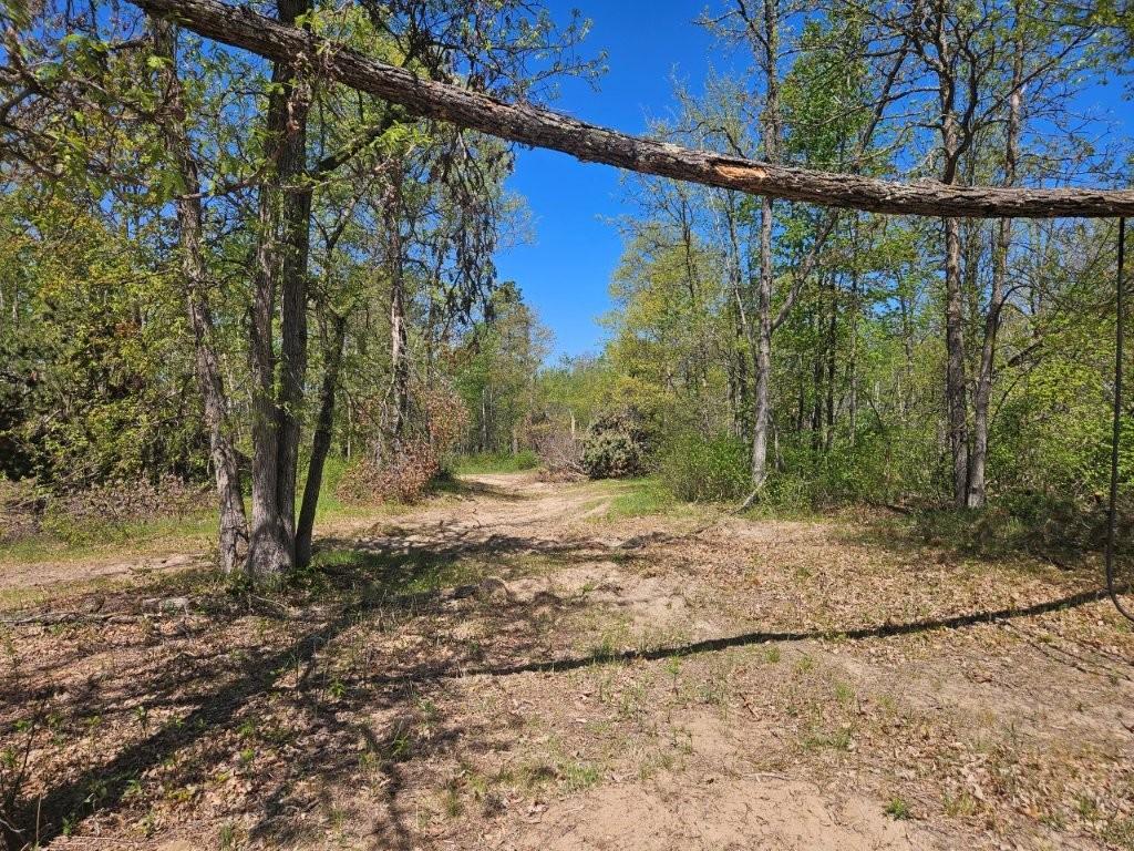 20329 Mission Road SE, Cass Lake MN 56633 - Photo 23 of 28