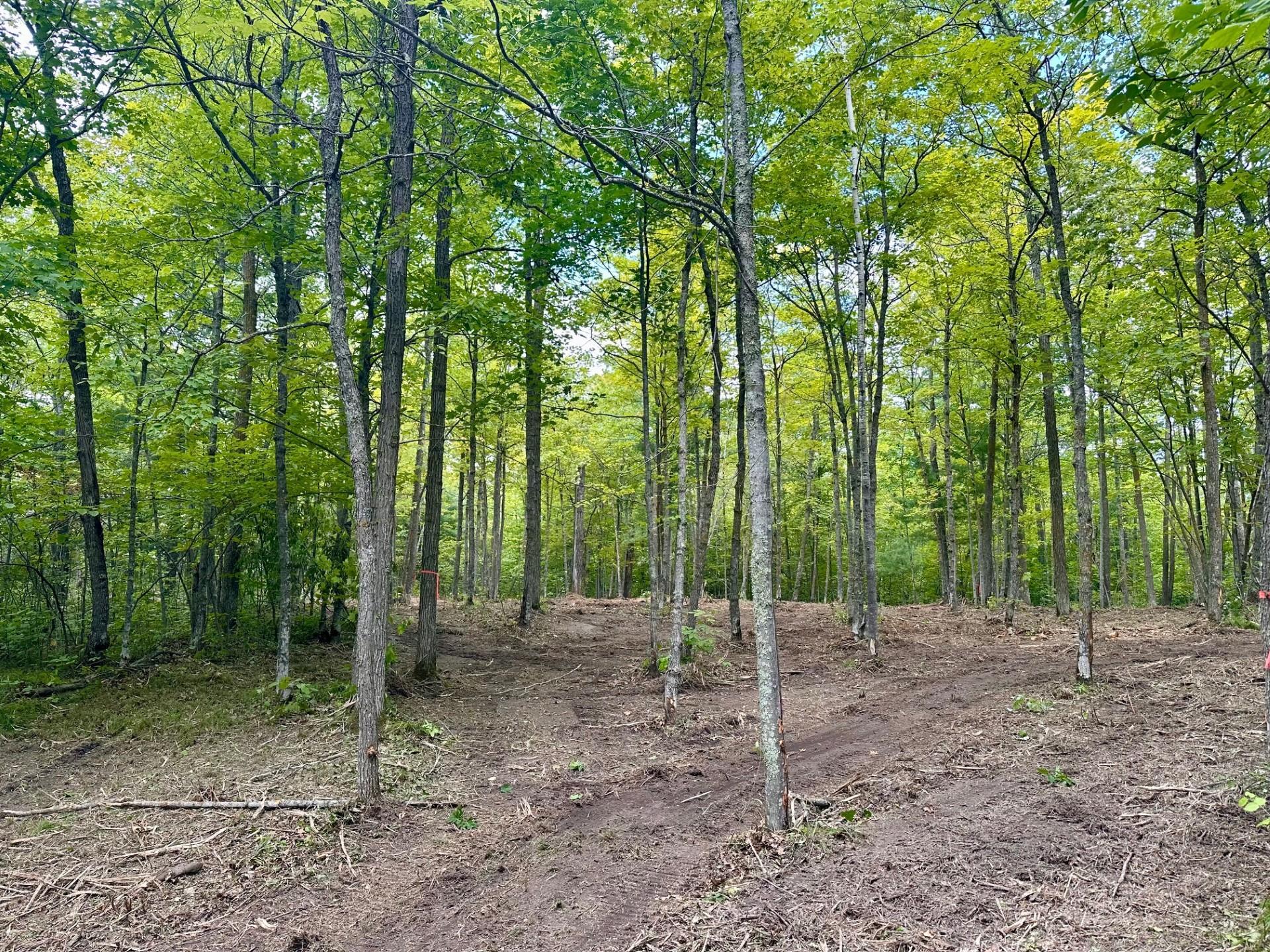 land for sale at TBD County Road 157 NE in Remer, MN