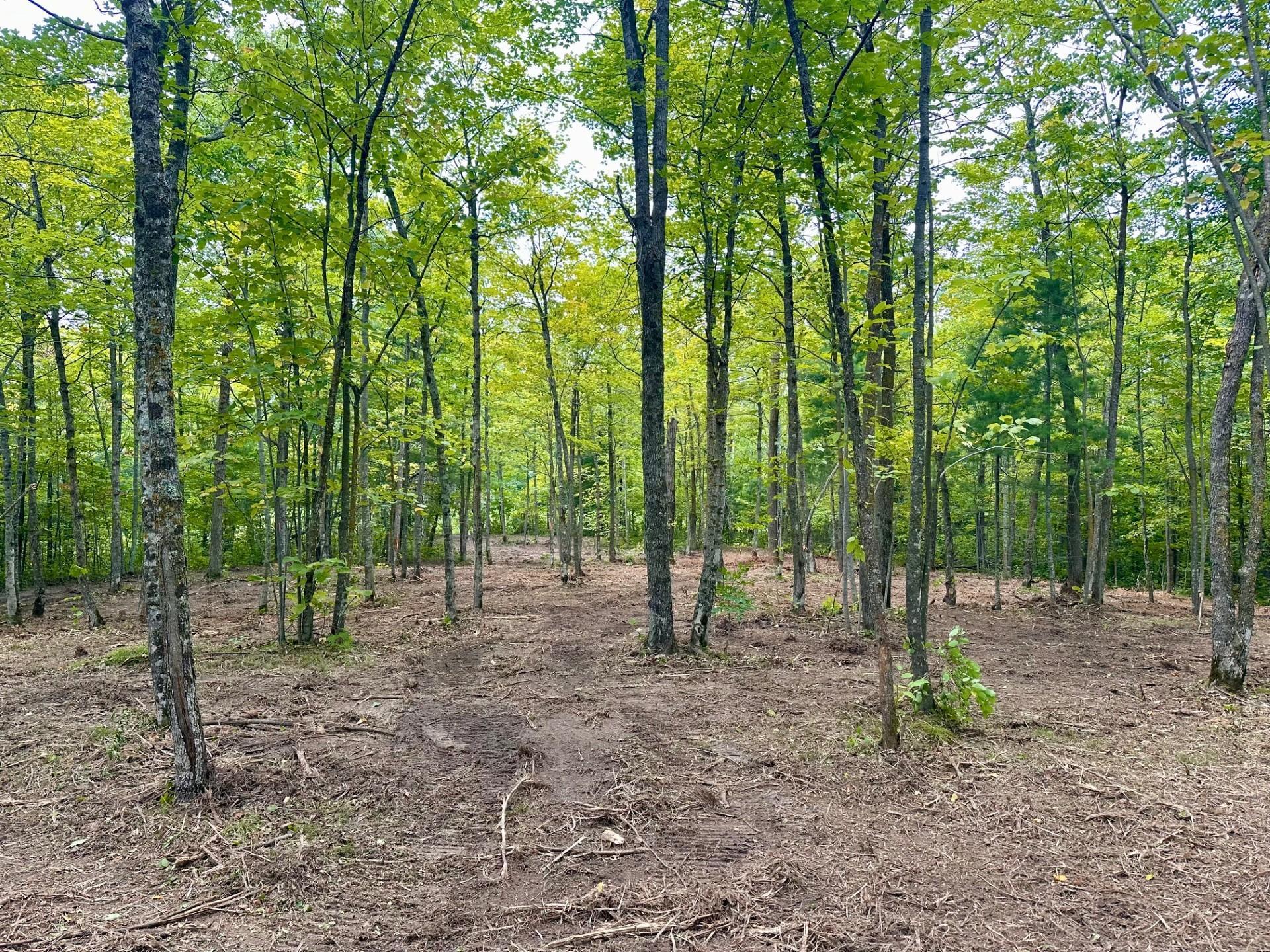 land for sale at TBD County Road 157 NE in Remer, MN (photo 2 of 13)