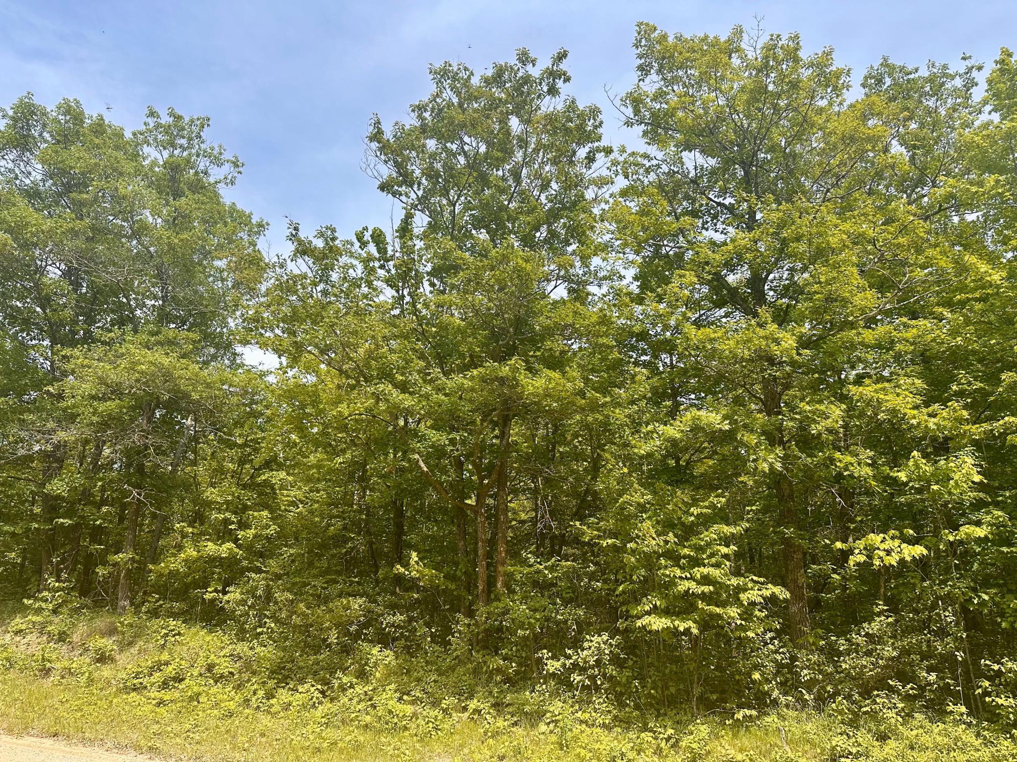 land for sale at TBD County Road 157 NE in Remer, MN (photo 11 of 13)