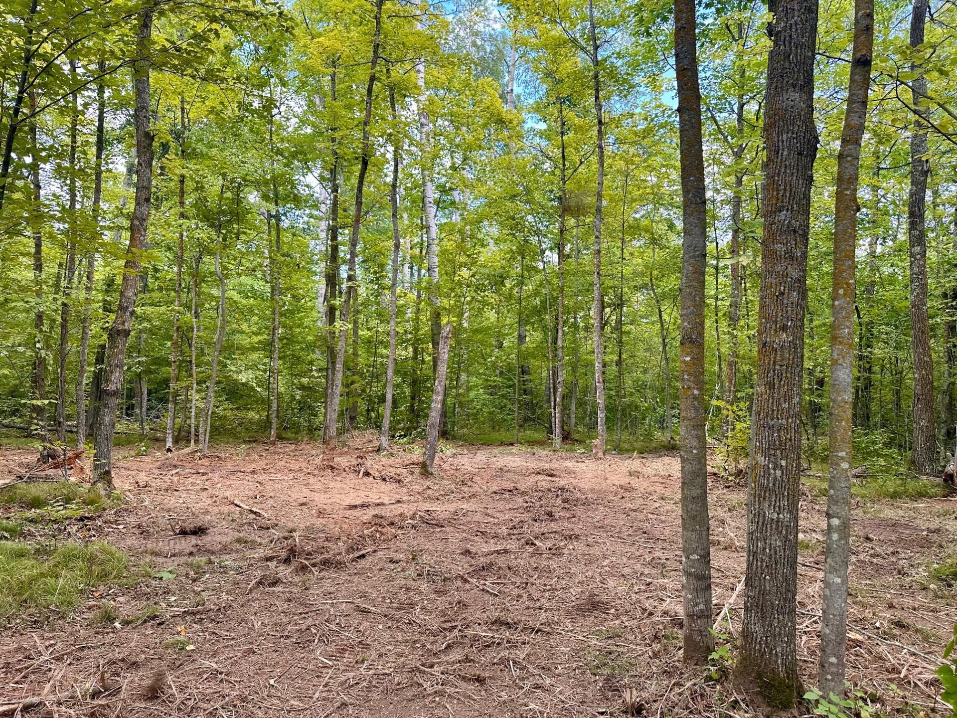 land for sale at TBD County Road 157 NE in Remer, MN (photo 5 of 13)