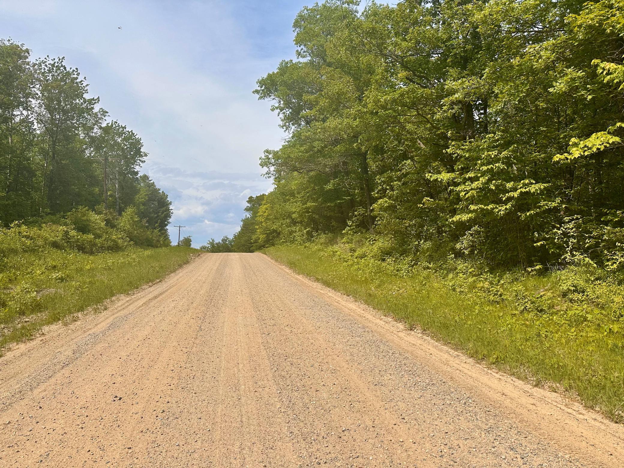 land for sale at TBD County Road 157 NE in Remer, MN (photo 9 of 13)