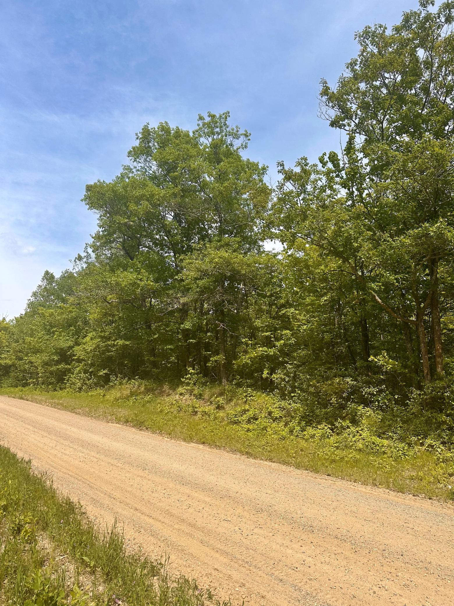 land for sale at TBD County Road 157 NE in Remer, MN (photo 10 of 13)