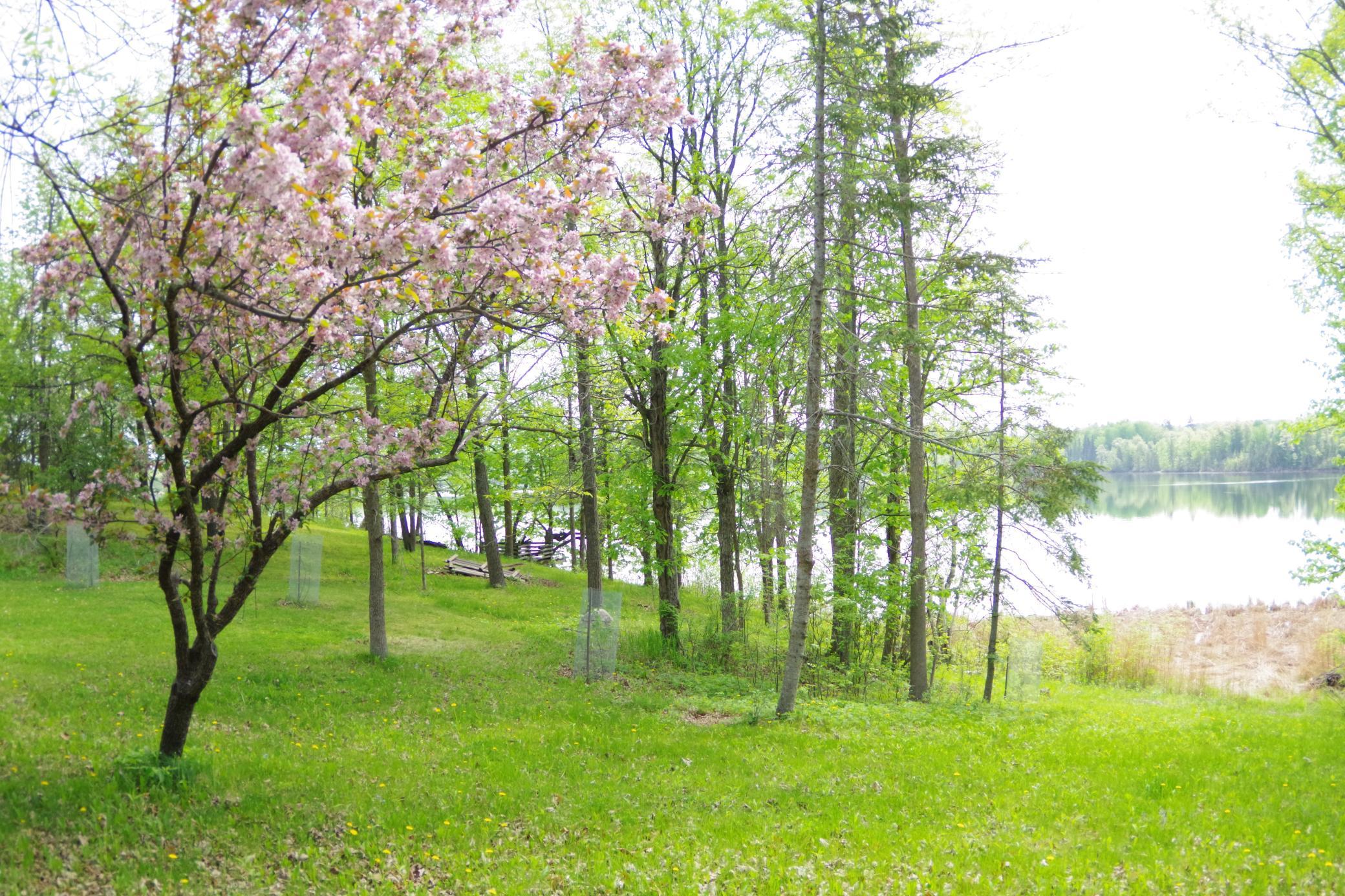 1983 single family home for sale at 19684 Lake Julia Drive NW in Bemidji, MN — 2 bed, 2 bath (photo 16 of 28)