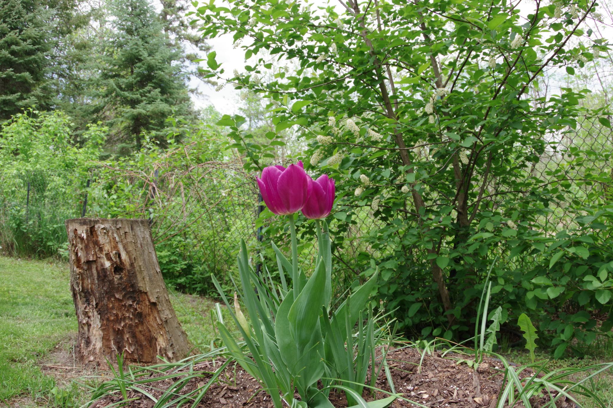 2005 single family home for sale at 104 6th Street SE in Bemidji, MN — 2 bed, 2 bath (photo 25 of 37)