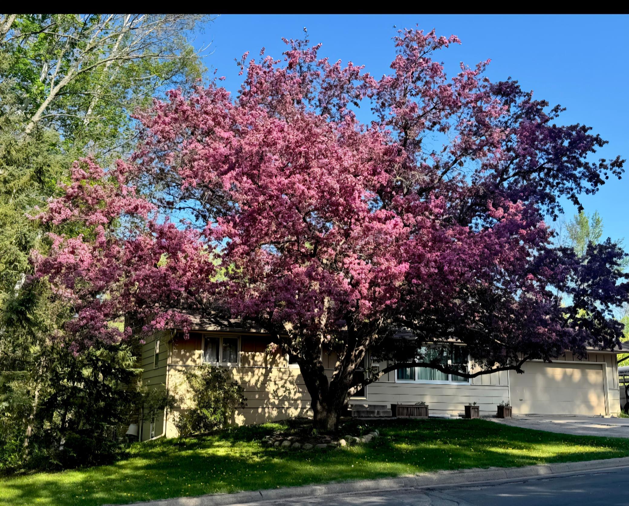 1976 single family home for sale at 520 SW 5th Avenue in Grand Rapids, MN — 7 bed, 2 bath (photo 56 of 57)