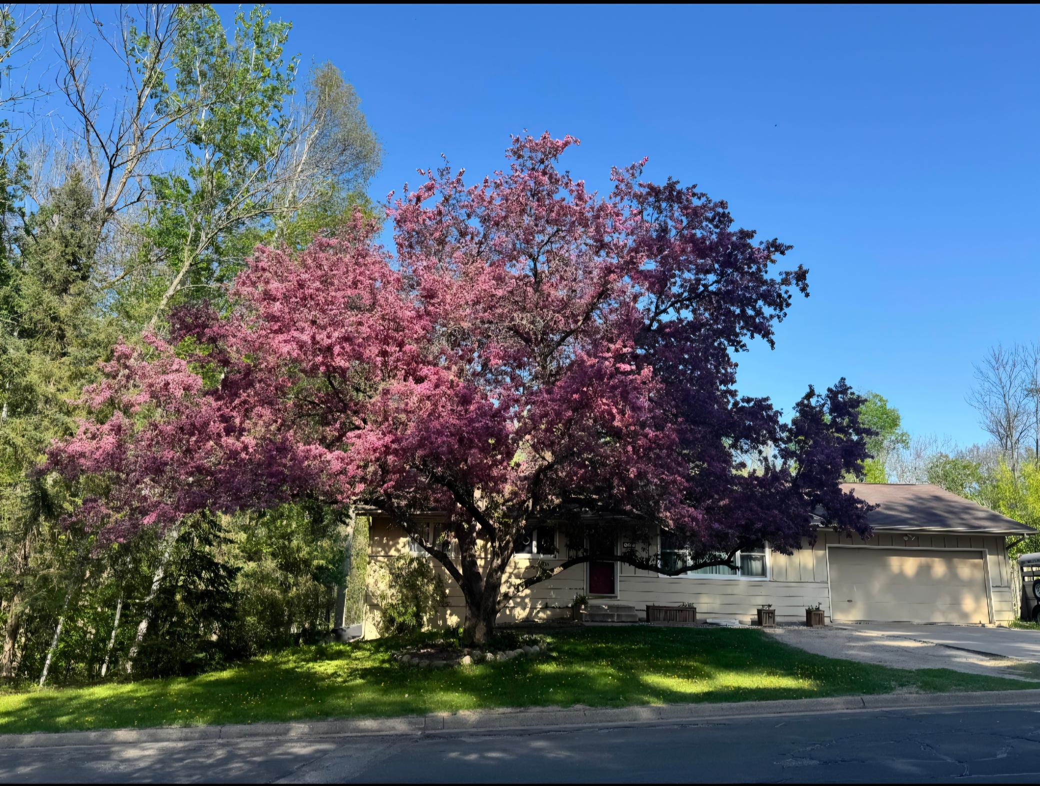 1976 single family home for sale at 520 SW 5th Avenue in Grand Rapids, MN — 7 bed, 2 bath (photo 57 of 57)