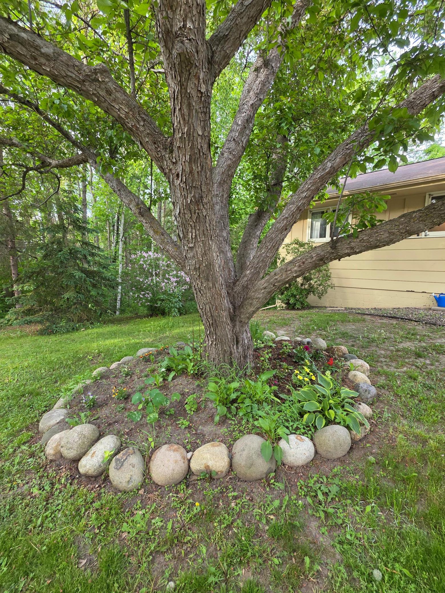 1976 single family home for sale at 520 SW 5th Avenue in Grand Rapids, MN — 7 bed, 2 bath (photo 9 of 57)