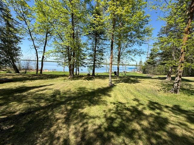 1171 S Gull Lake Road SW, Tenstrike MN 56683 - Photo 15 of 37