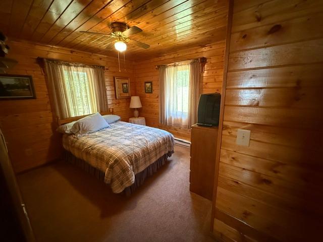 1171 S Gull Lake Road SW, Tenstrike MN 56683 - Photo 35 of 37