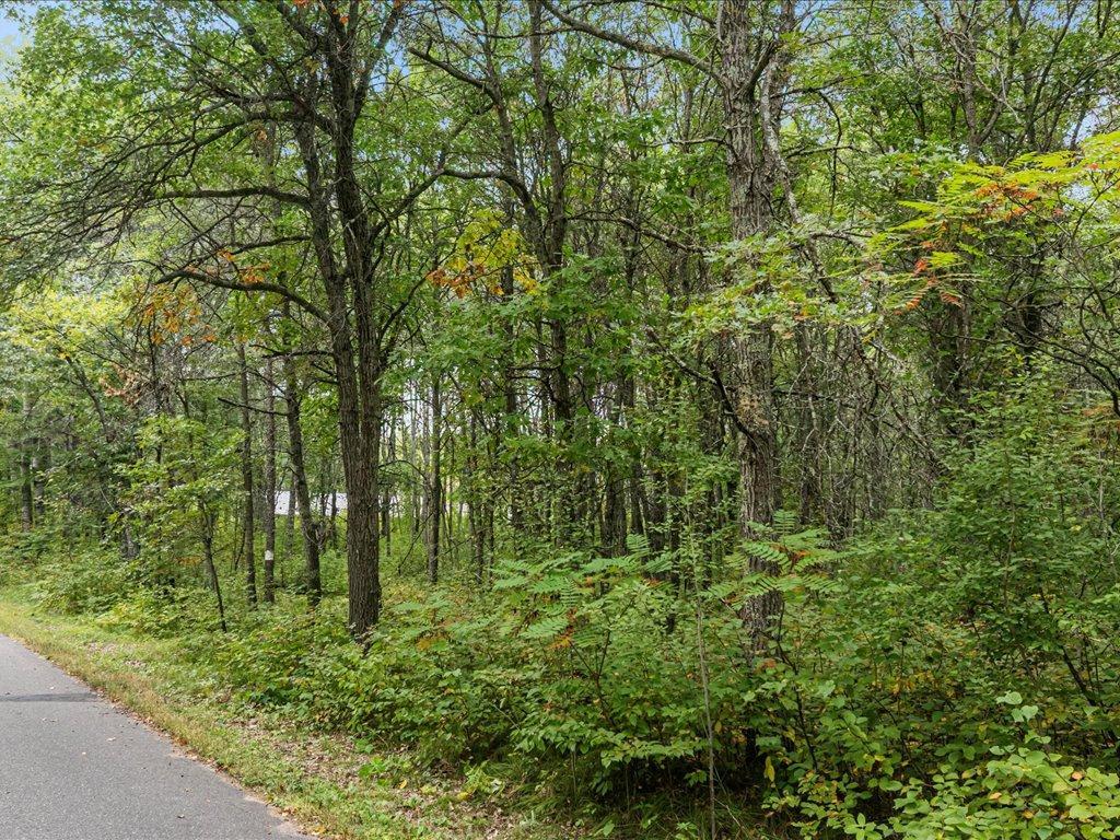 Lot I Sandbar Lane, Merrifield MN 56465 - Photo 11 of 15