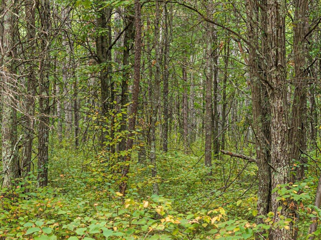 Lot I Sandbar Lane, Merrifield MN 56465 - Photo 3 of 15