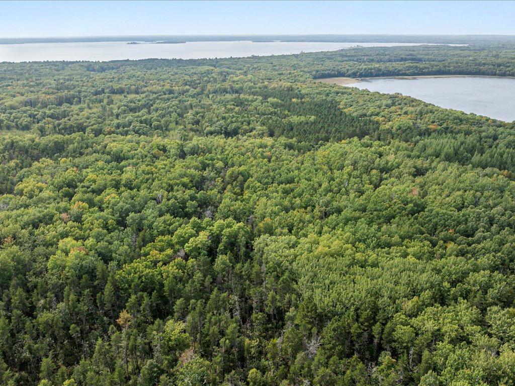 Lot I Sandbar Lane, Merrifield MN 56465 - Photo 5 of 15