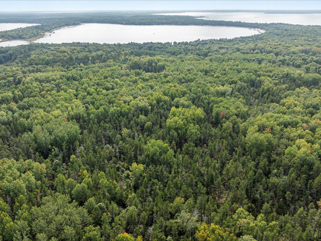 Lot H Sandbar Lane, Merrifield MN 56465 - Photo 6 of 15