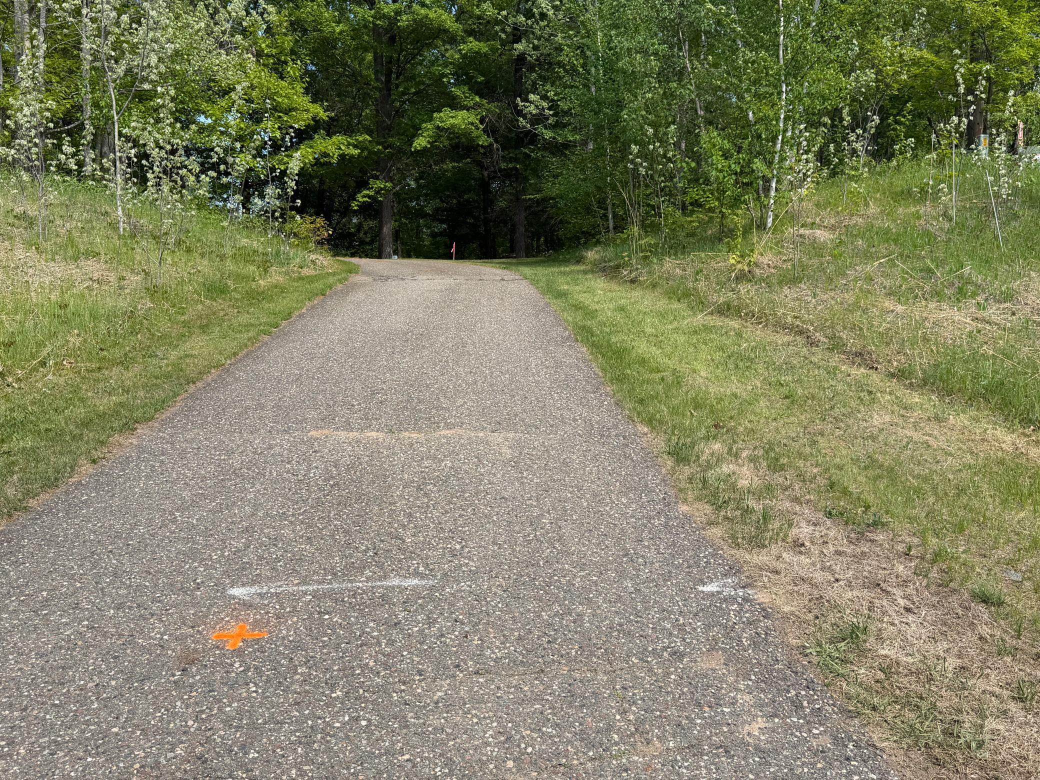 TB County Road 16, Pequot Lakes MN 56472 - Photo 6 of 10