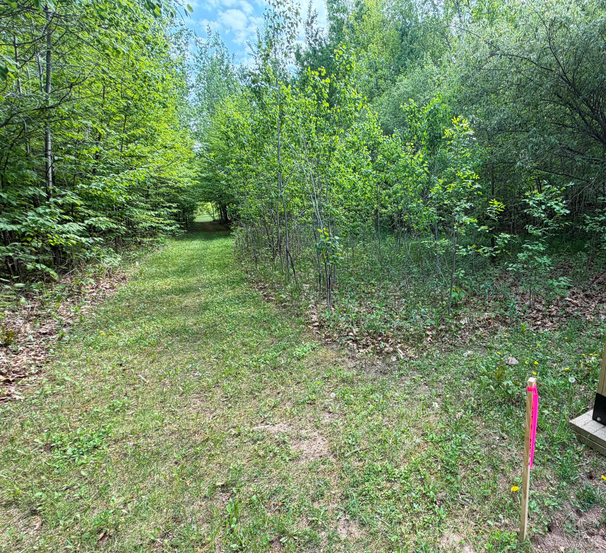 TB County Road 16, Pequot Lakes MN 56472 - Photo 8 of 10