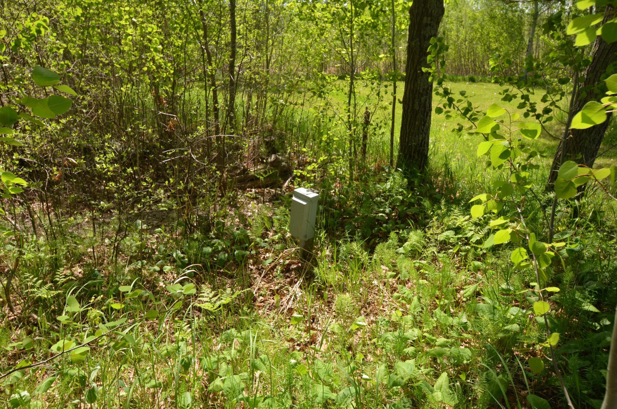 land for sale at 33595 300th Place in Aitkin, MN (photo 21 of 24)