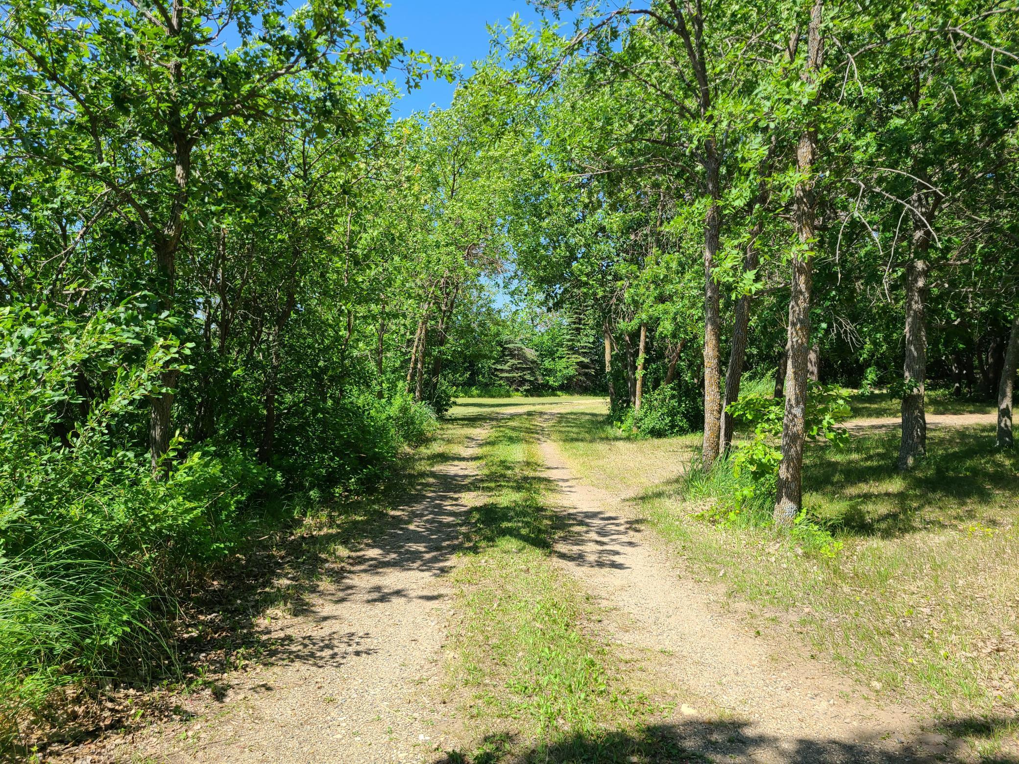 26373 Anna Lake Road, Underwood MN 56586 - Photo 2 of 39