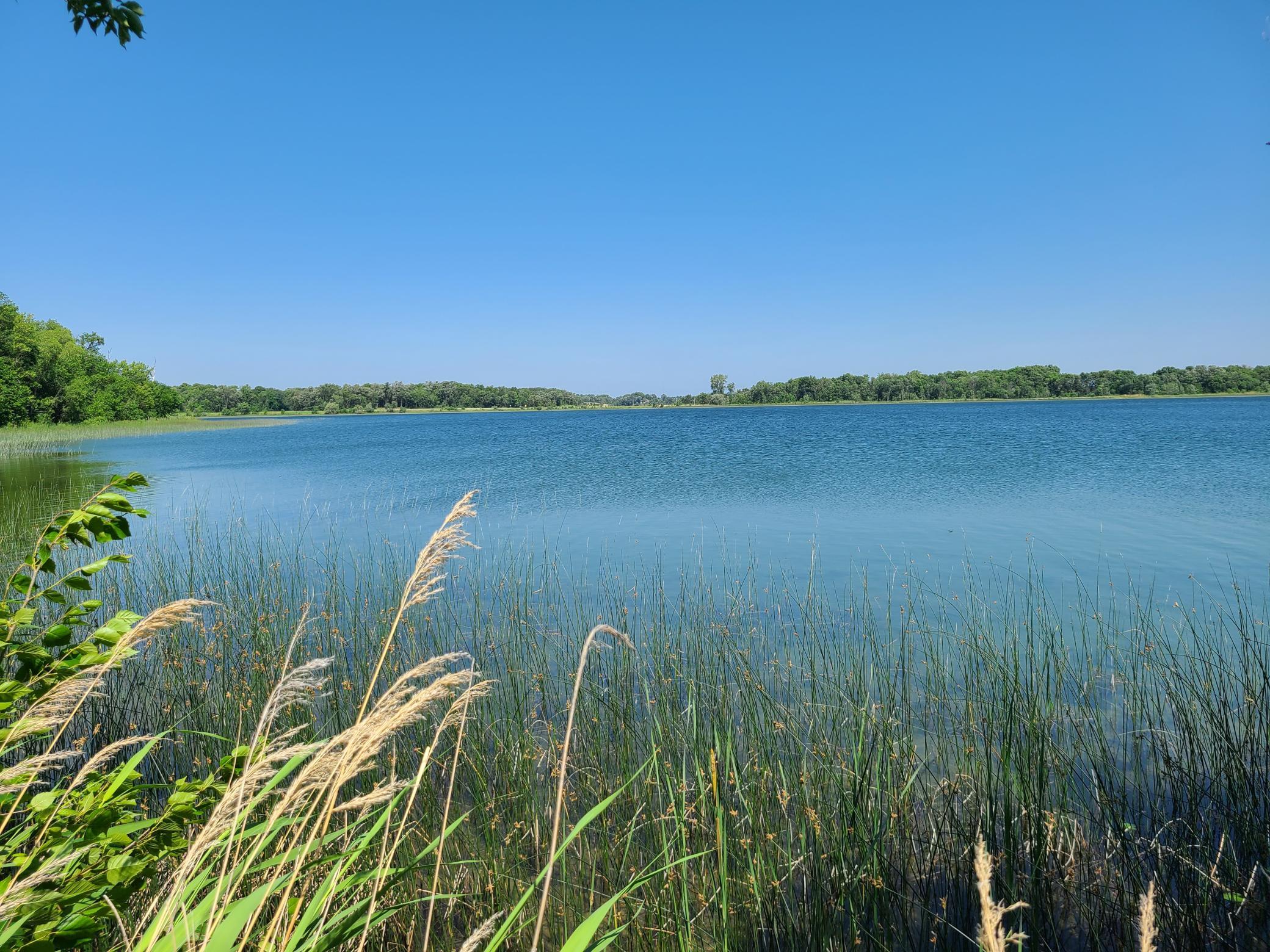 26373 Anna Lake Road, Underwood MN 56586 - Photo 11 of 39
