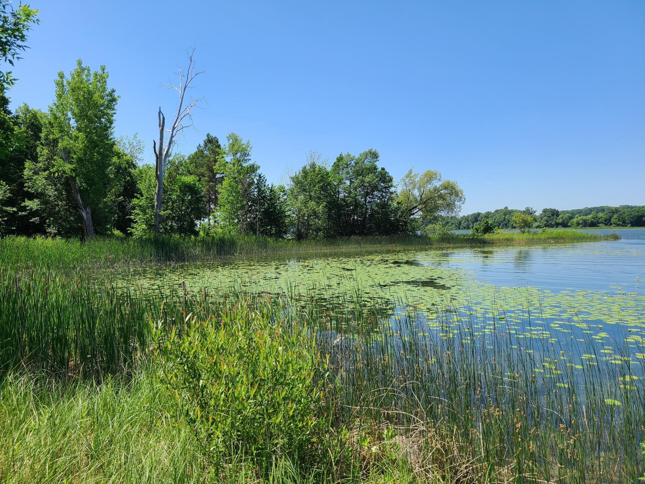 26373 Anna Lake Road, Underwood MN 56586 - Photo 15 of 39