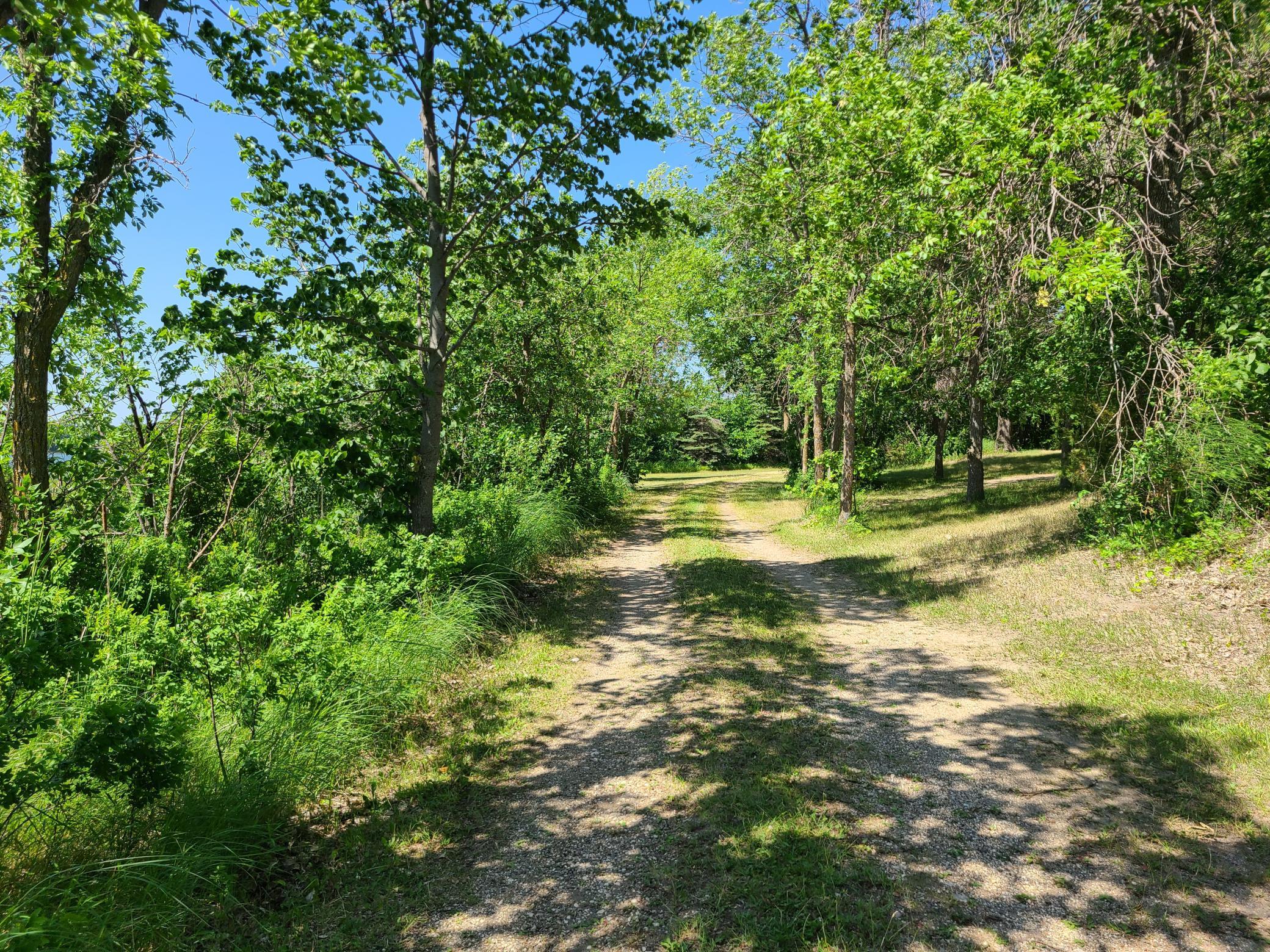 26373 Anna Lake Road, Underwood MN 56586 - Photo 3 of 39