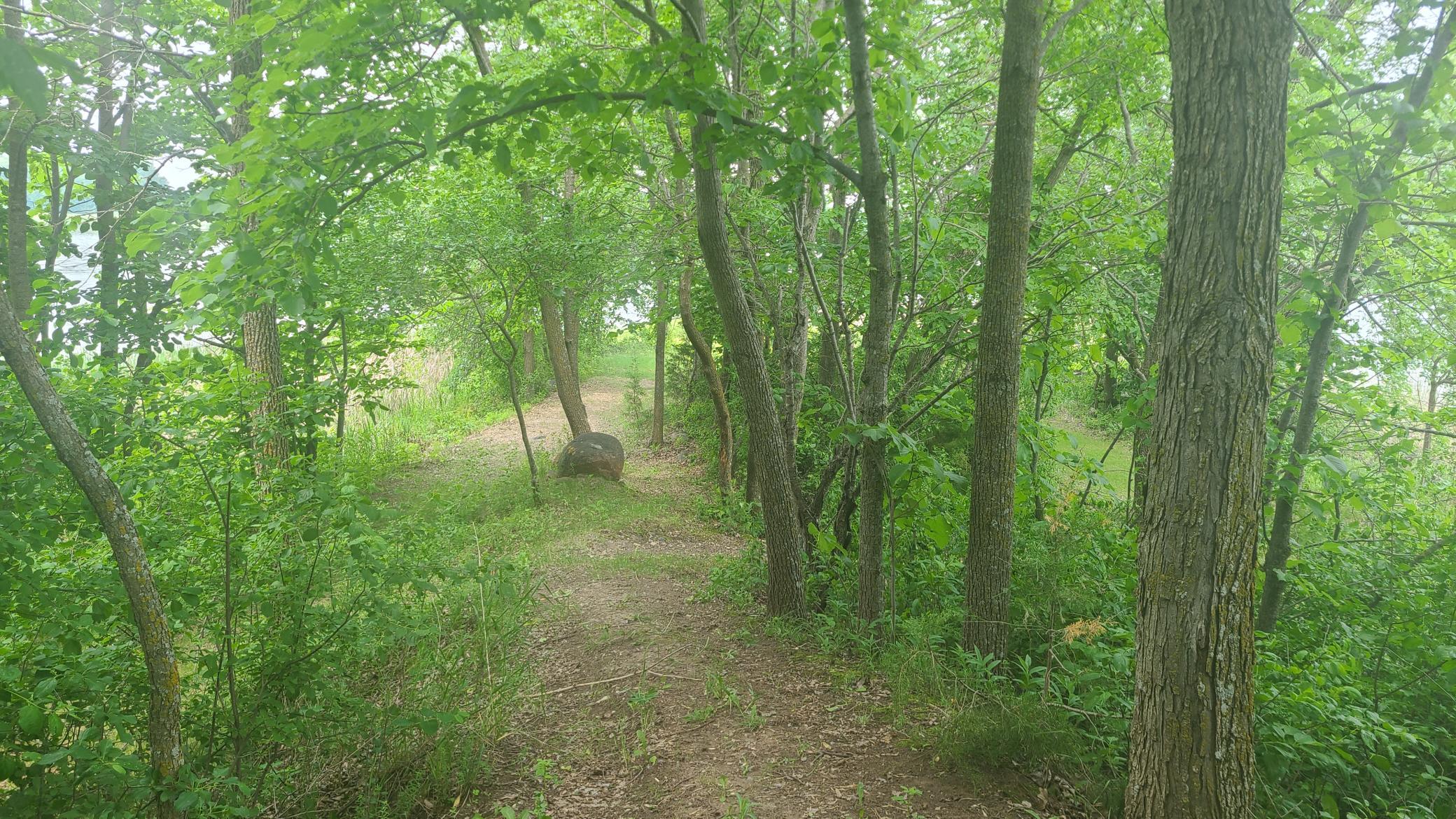 26373 Anna Lake Road, Underwood MN 56586 - Photo 21 of 39