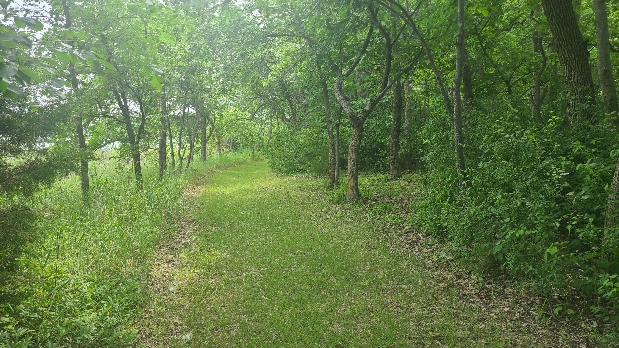 26373 Anna Lake Road, Underwood MN 56586 - Photo 22 of 39