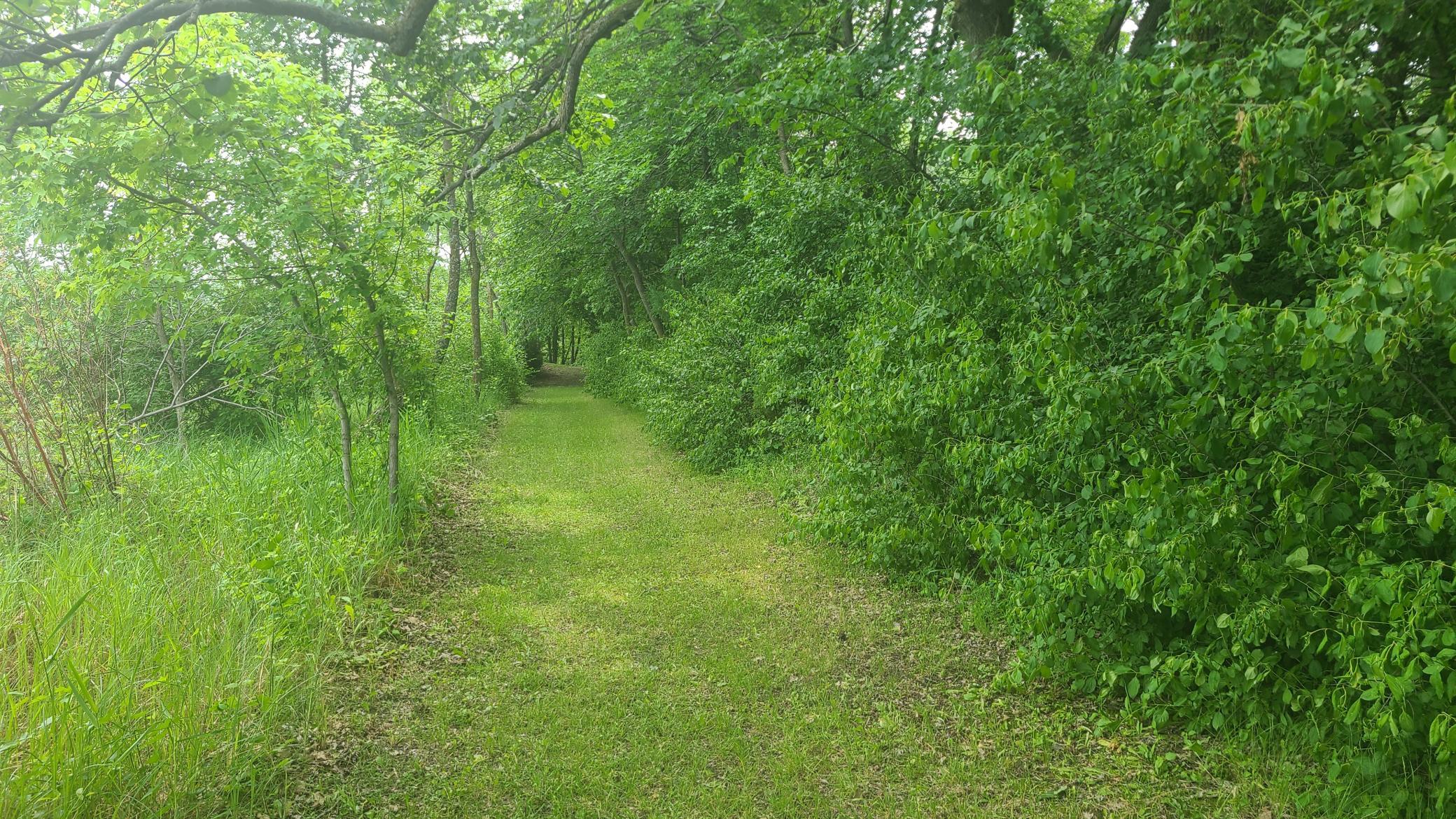 26373 Anna Lake Road, Underwood MN 56586 - Photo 25 of 39