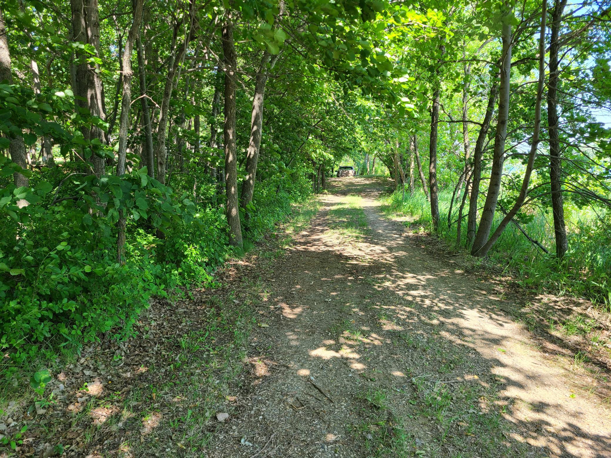 26373 Anna Lake Road, Underwood MN 56586 - Photo 4 of 39