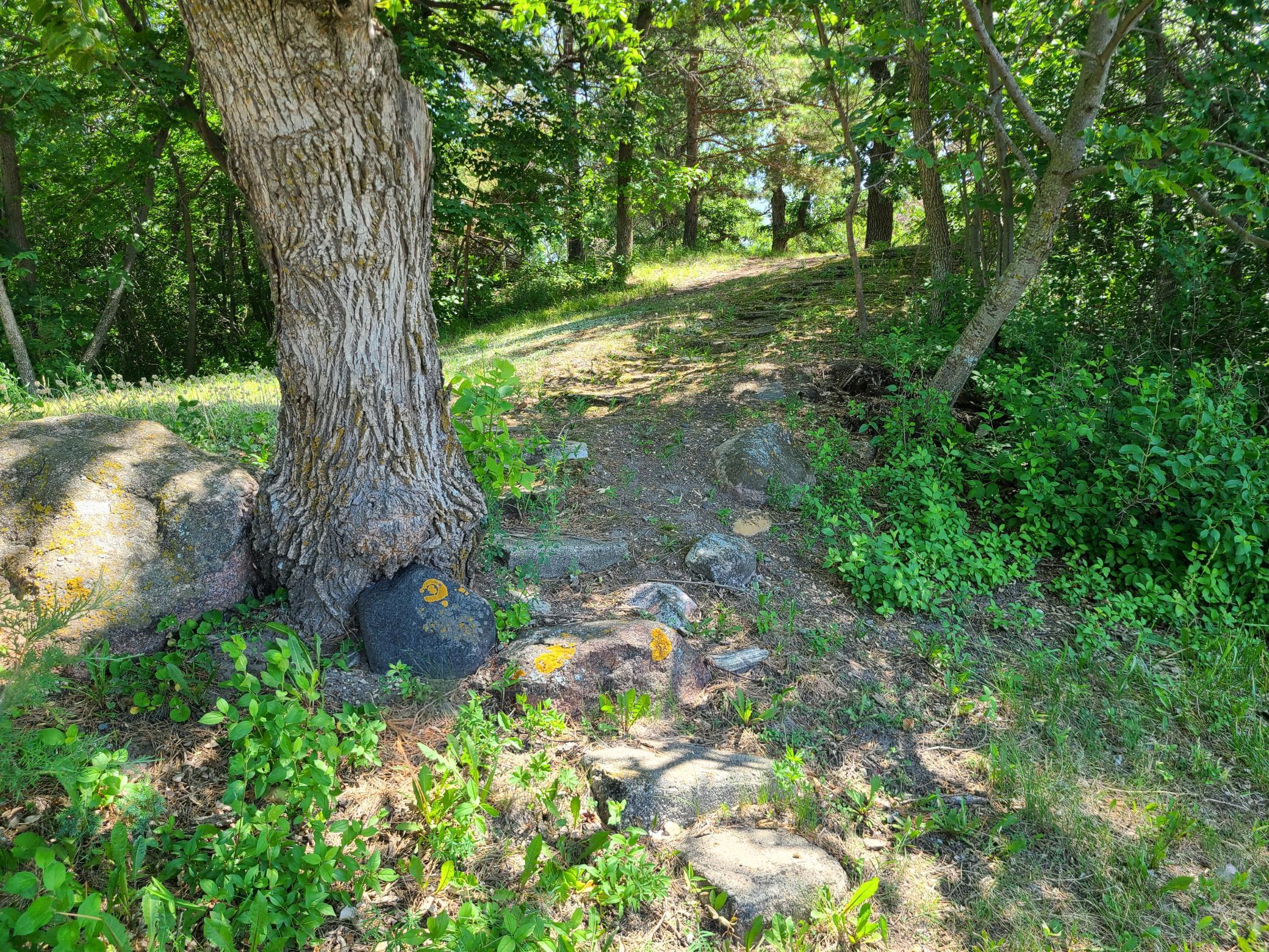 26373 Anna Lake Road, Underwood MN 56586 - Photo 8 of 39