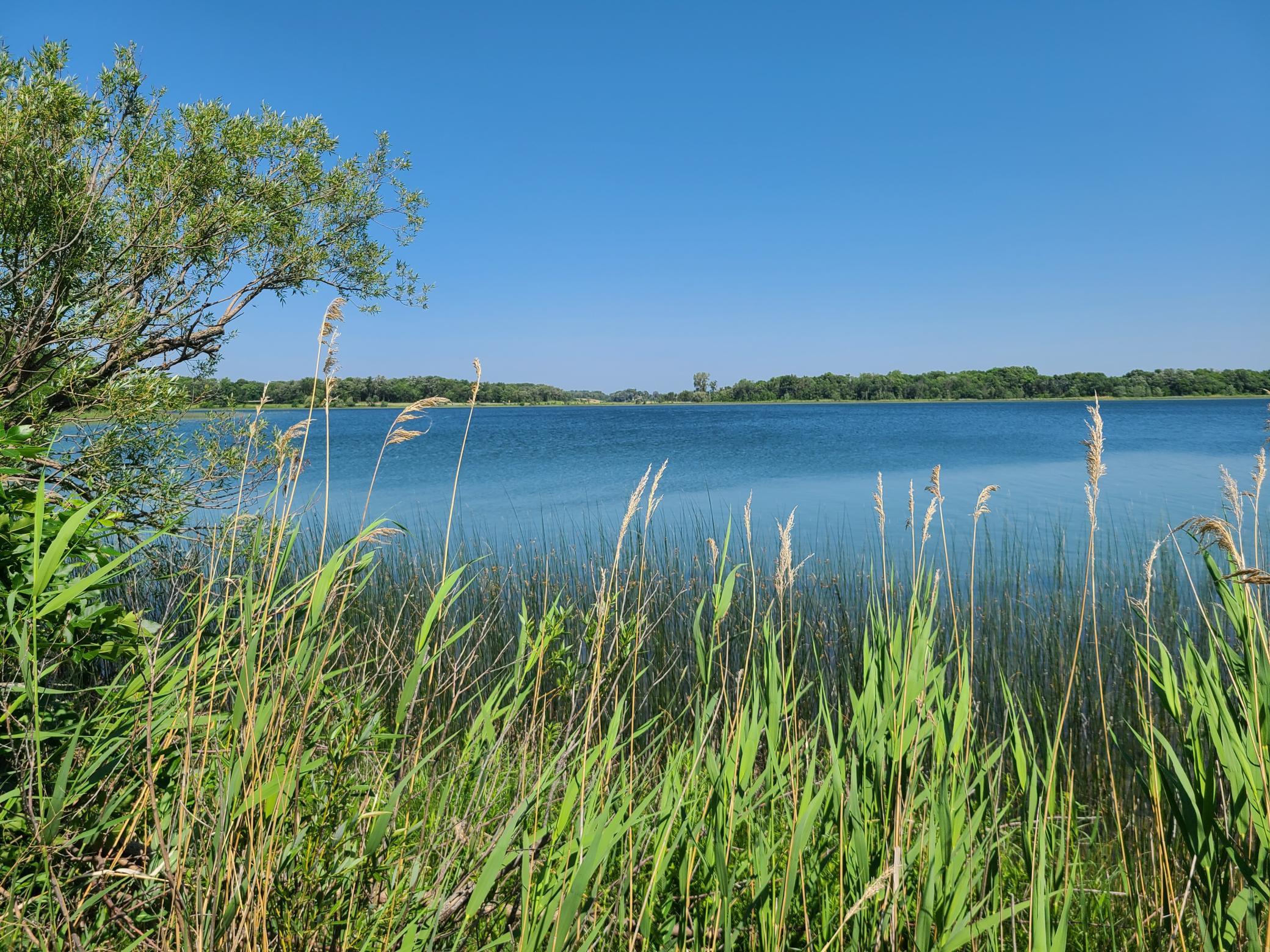 26373 Anna Lake Road, Underwood MN 56586 - Photo 10 of 39
