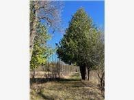 2004 single family home for sale at 56161 Whitefish Trail in Squaw Lake, MN — 2 bed, 1 bath (photo 25 of 55)