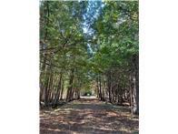 2004 single family home for sale at 56161 Whitefish Trail in Squaw Lake, MN — 2 bed, 1 bath (photo 28 of 55)