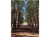 2004 single family home for sale at 56161 Whitefish Trail in Squaw Lake, MN — 2 bed, 1 bath (photo 31 of 55)
