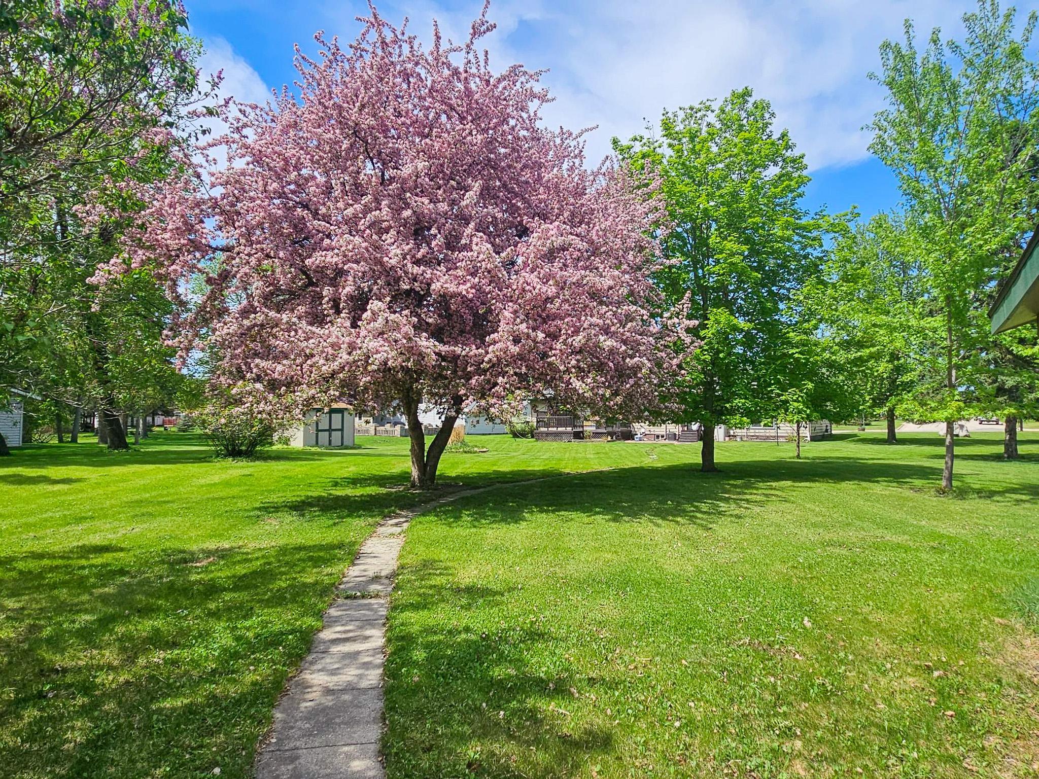 1977 single family home for sale at 116 Nora Street E in Thief River Falls, MN — 3 bed, 2 bath (photo 34 of 42)