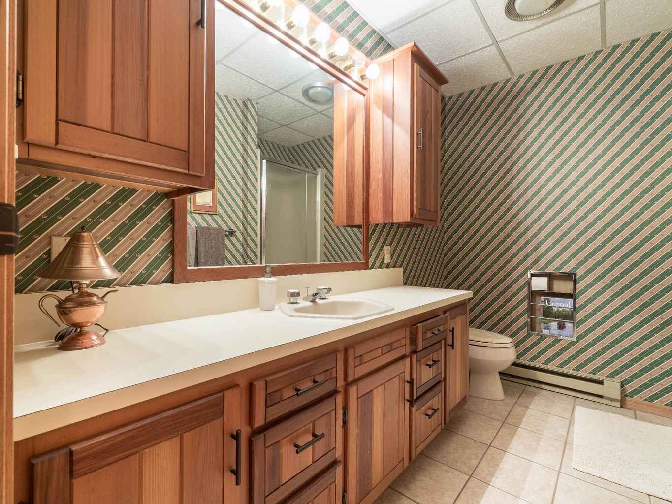 38132 N Little Mcdonald Drive, Frazee MN 56544 - Photo 51 of 71