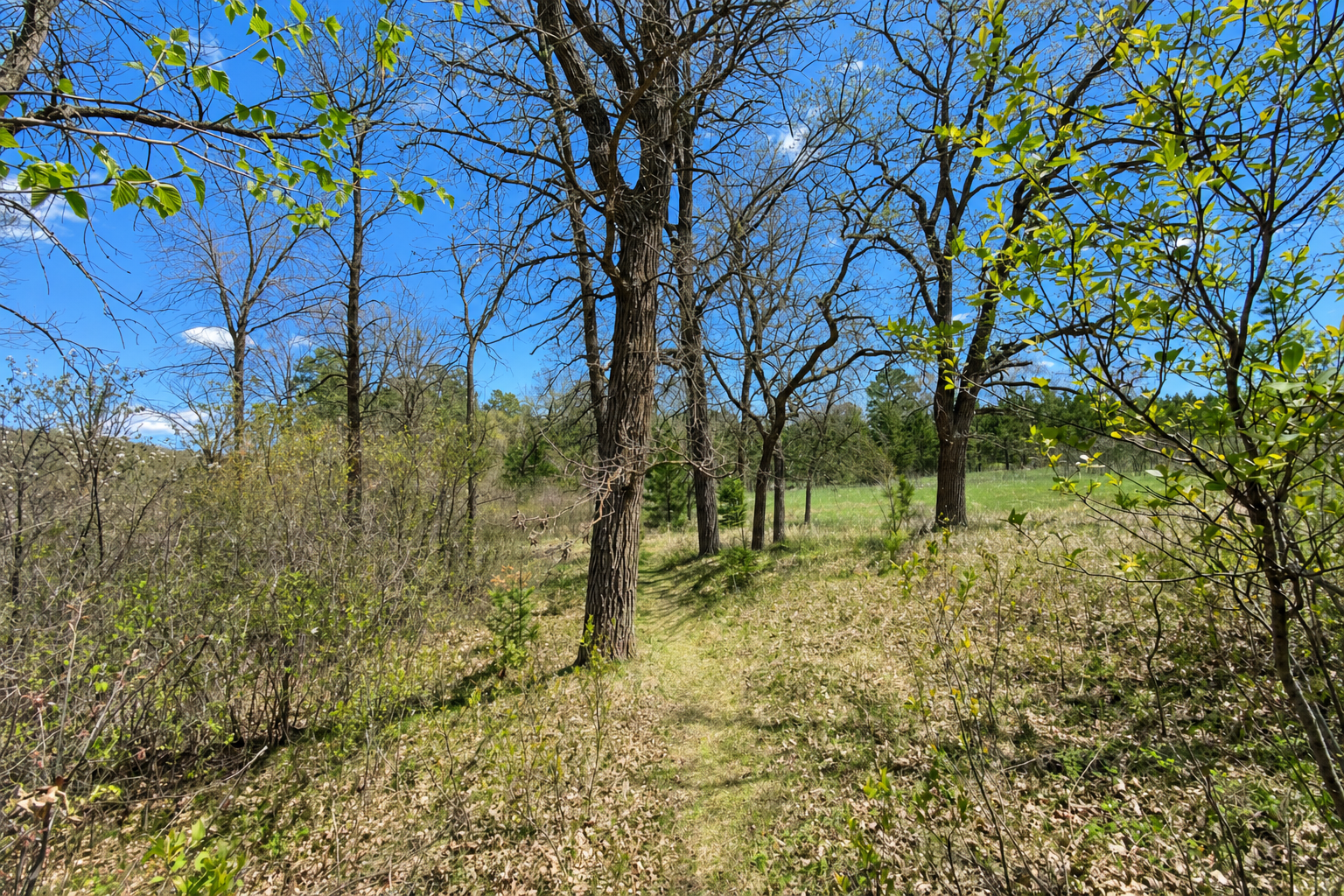 2008 single family home for sale at 18280 County 11 in Park Rapids, MN — 4 bed, 4 bath (photo 14 of 57)