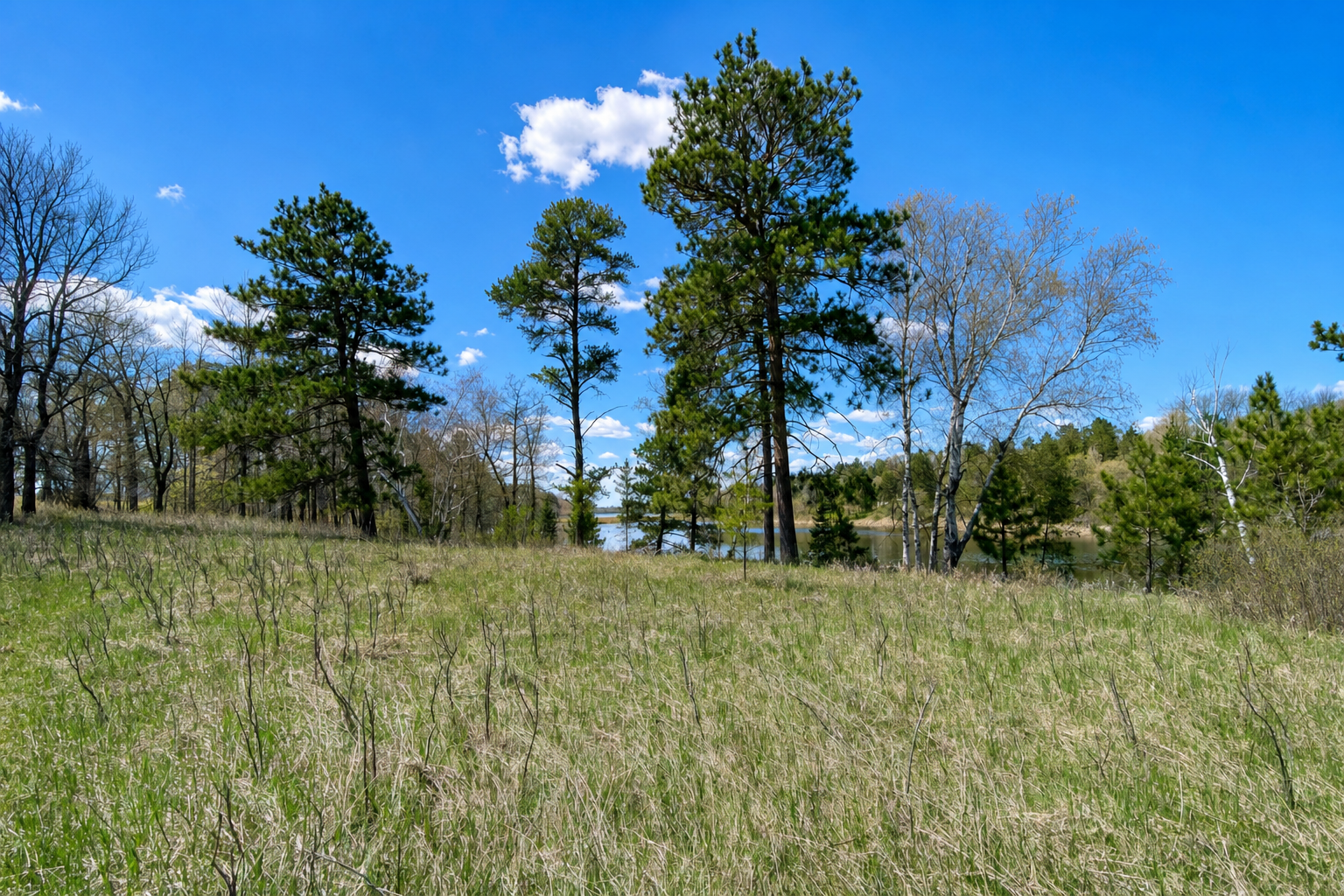 2008 single family home for sale at 18280 County 11 in Park Rapids, MN — 4 bed, 4 bath (photo 15 of 57)