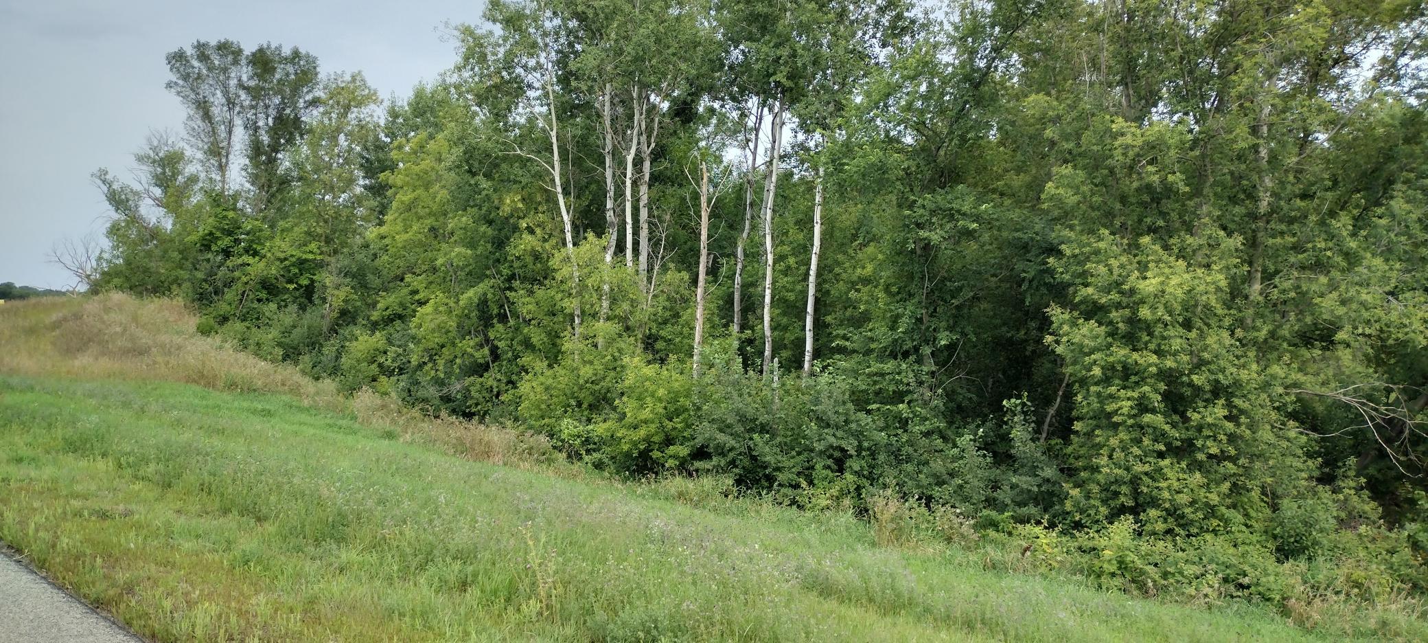 28023 County Highway 1, Underwood MN 56586 - Photo 11 of 19