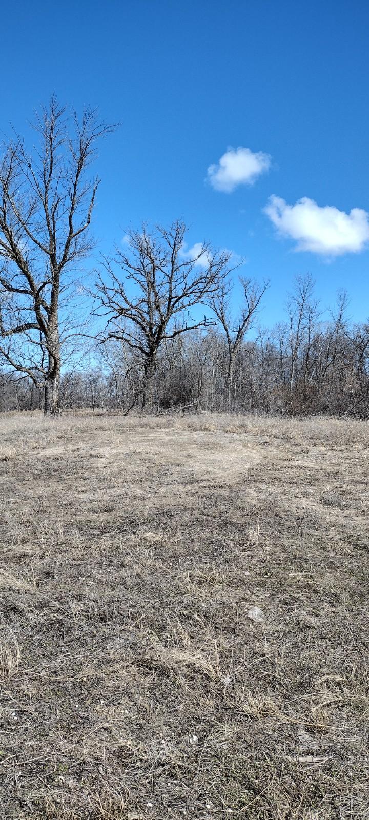 28023 County Highway 1, Underwood MN 56586 - Photo 12 of 19