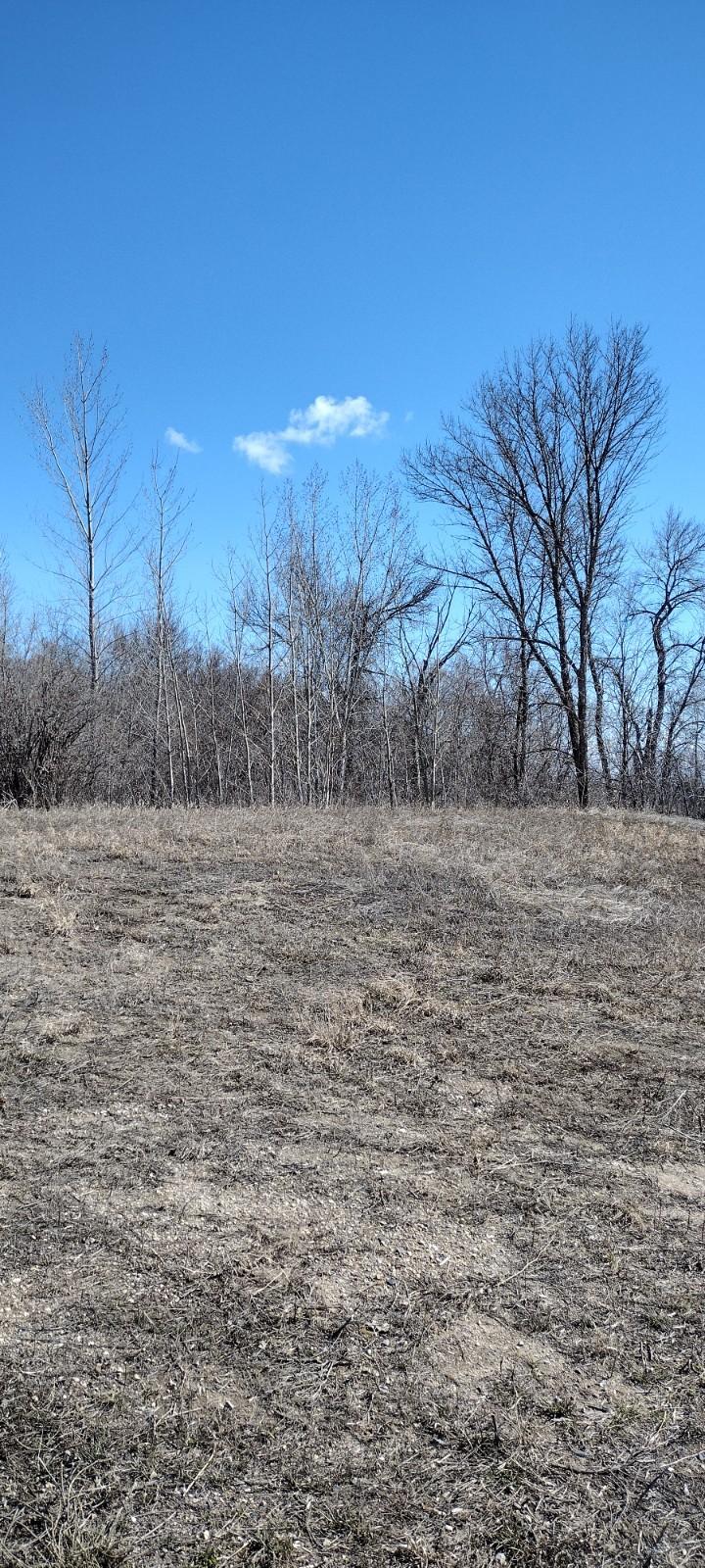 28023 County Highway 1, Underwood MN 56586 - Photo 13 of 19