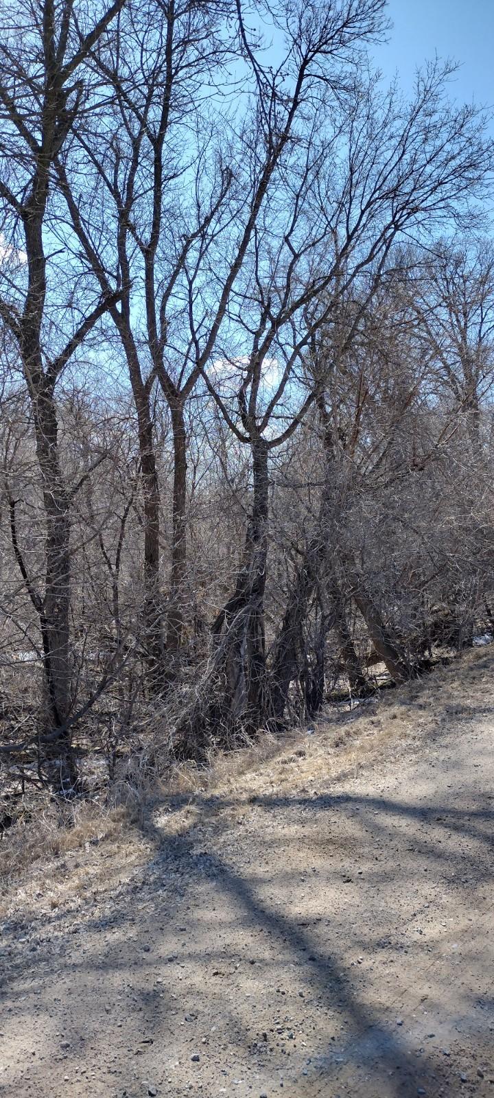 28023 County Highway 1, Underwood MN 56586 - Photo 16 of 19