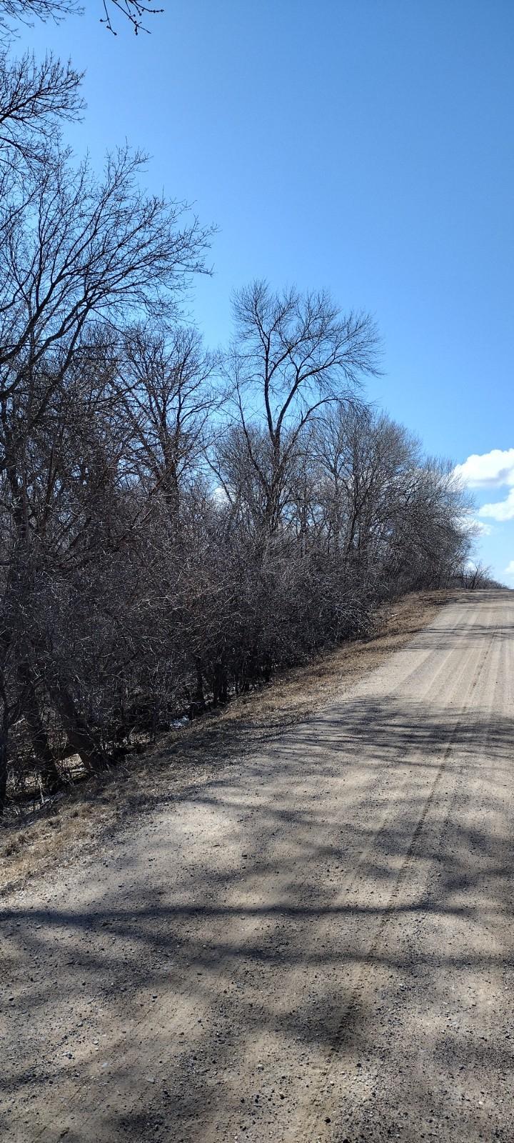 28023 County Highway 1, Underwood MN 56586 - Photo 18 of 19
