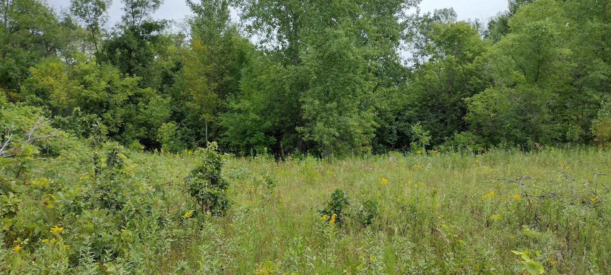 28023 County Highway 1, Underwood MN 56586 - Photo 5 of 19