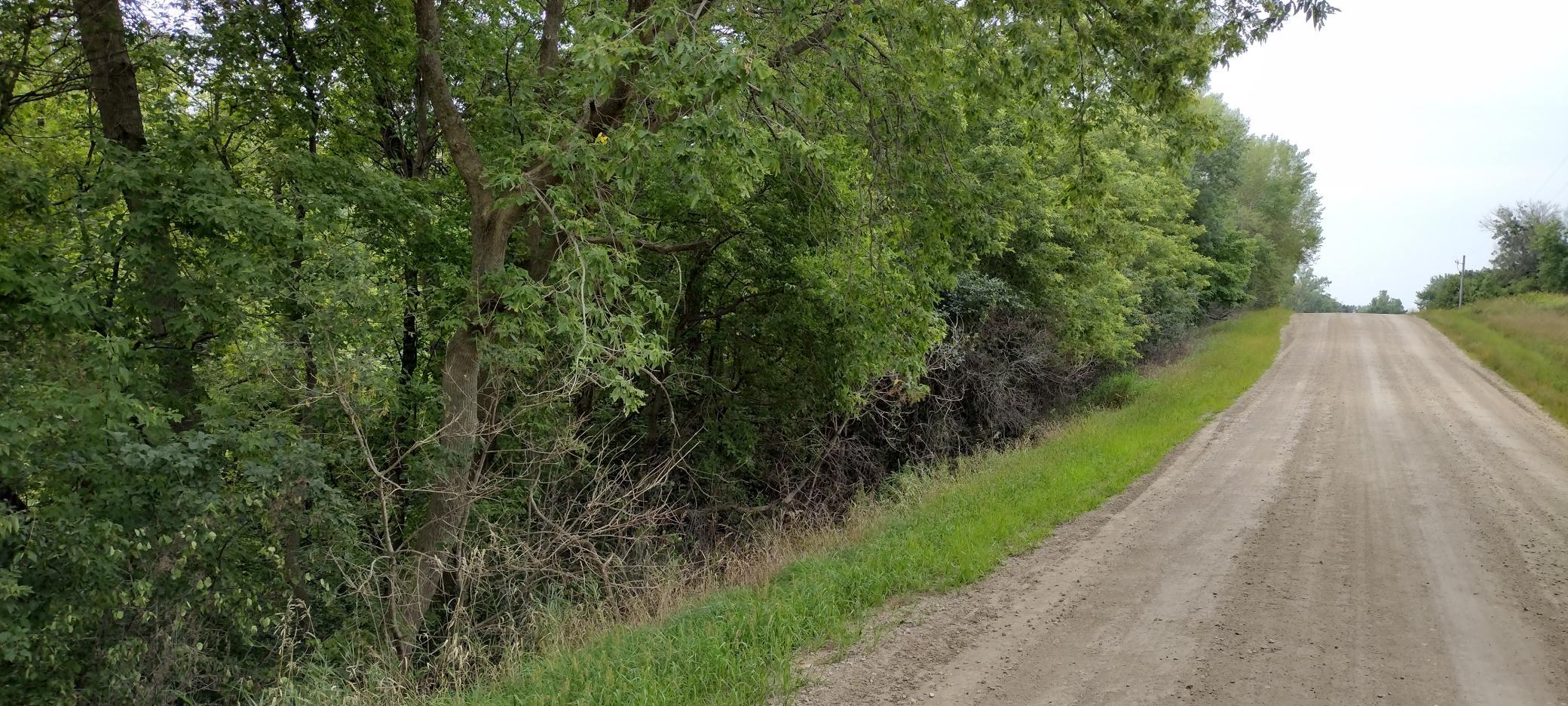 28023 County Highway 1, Underwood MN 56586 - Photo 6 of 19