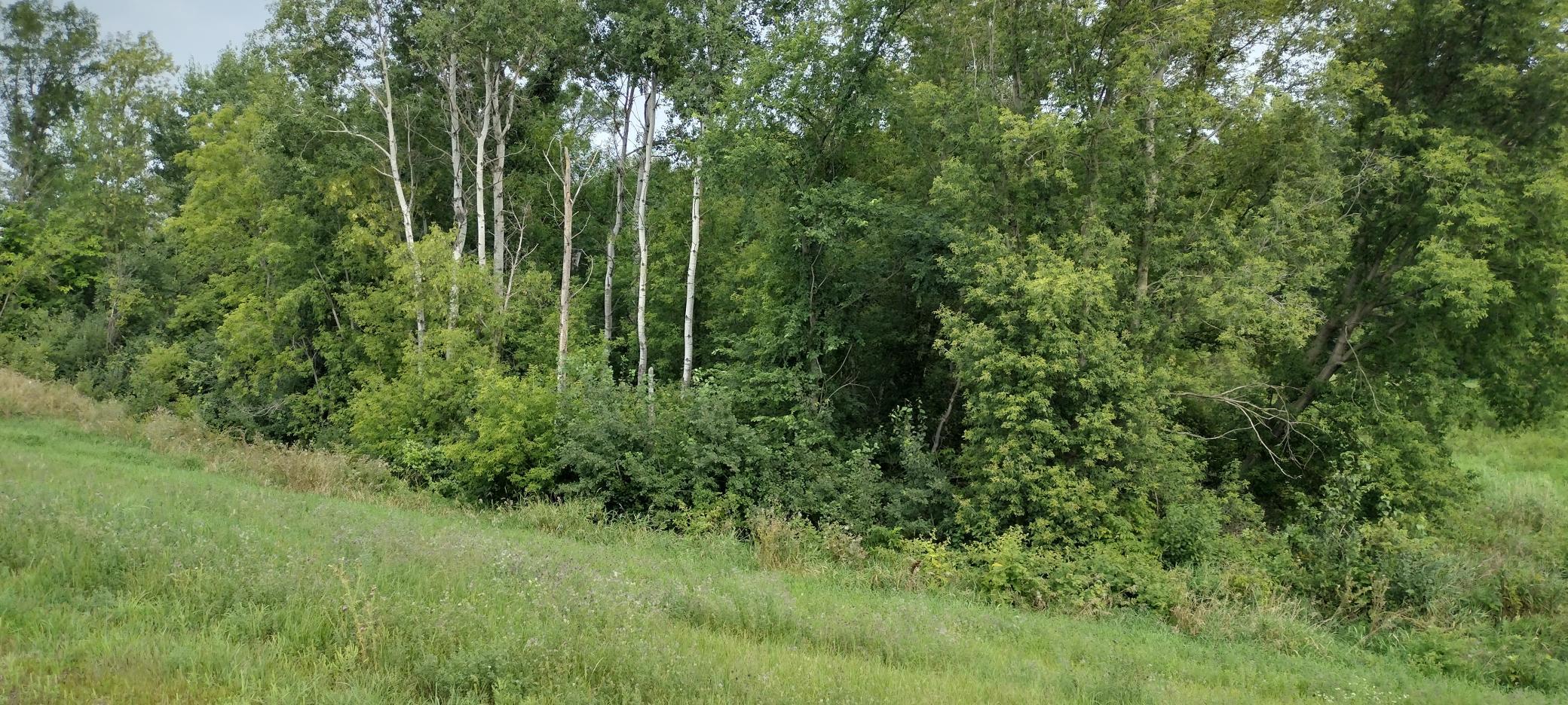28023 County Highway 1, Underwood MN 56586 - Photo 10 of 19