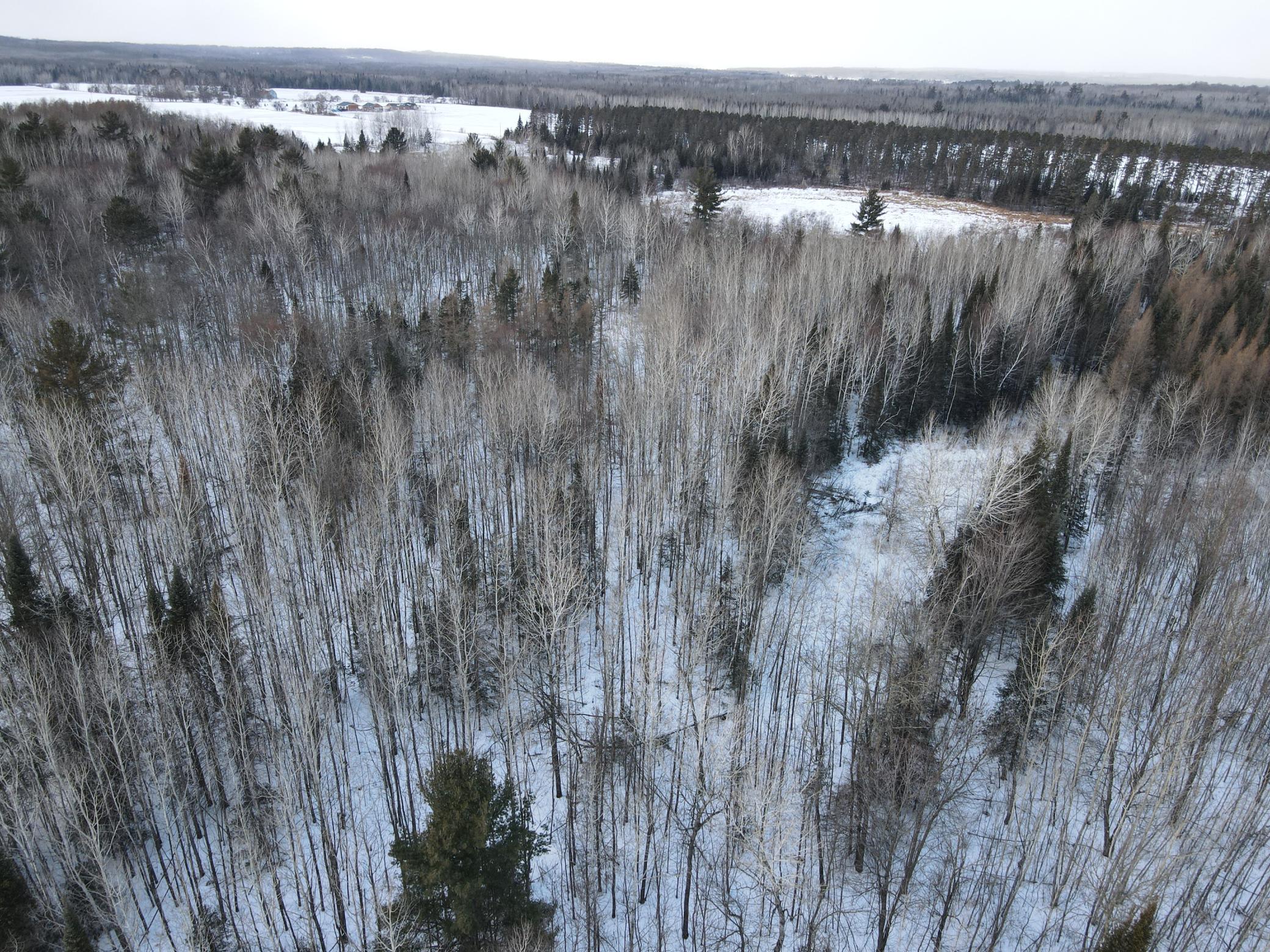 land for sale at TBD County Rd 67 in Grand Rapids, MN (photo 13 of 31)