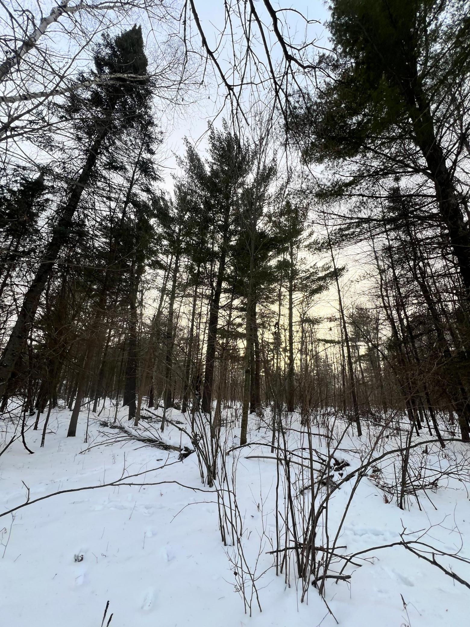 land for sale at TBD County Rd 67 in Grand Rapids, MN (photo 15 of 31)