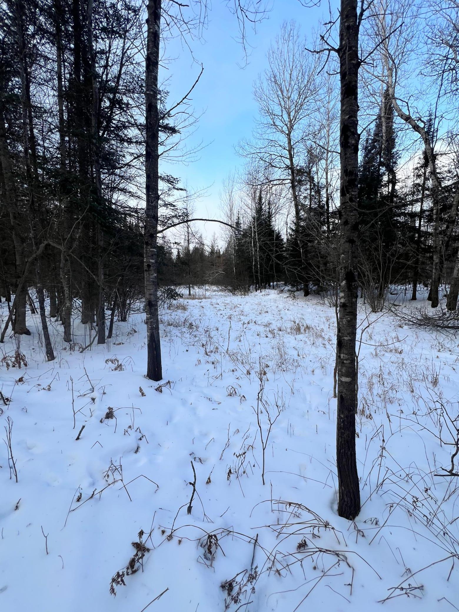 land for sale at TBD County Rd 67 in Grand Rapids, MN (photo 18 of 31)
